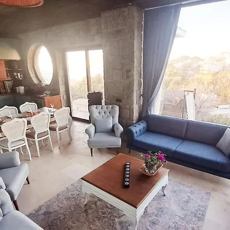 Oezel Havuzlu Tas Villa *
