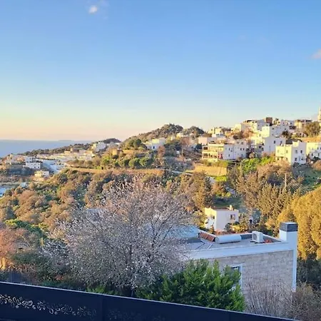 Villa Oezel Havuzlu Tas *