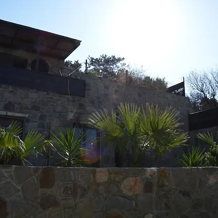 Oezel Havuzlu Tas Villa Bodrum