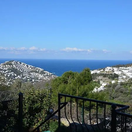 Oezel Havuzlu Tas Villa